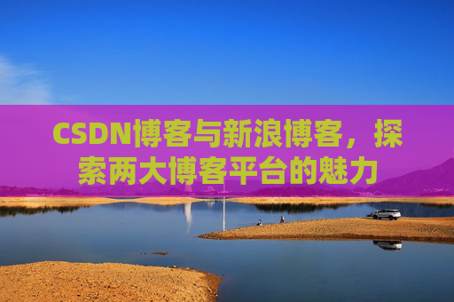 CSDN博客与新浪博客,探索两大博客平台的魅力